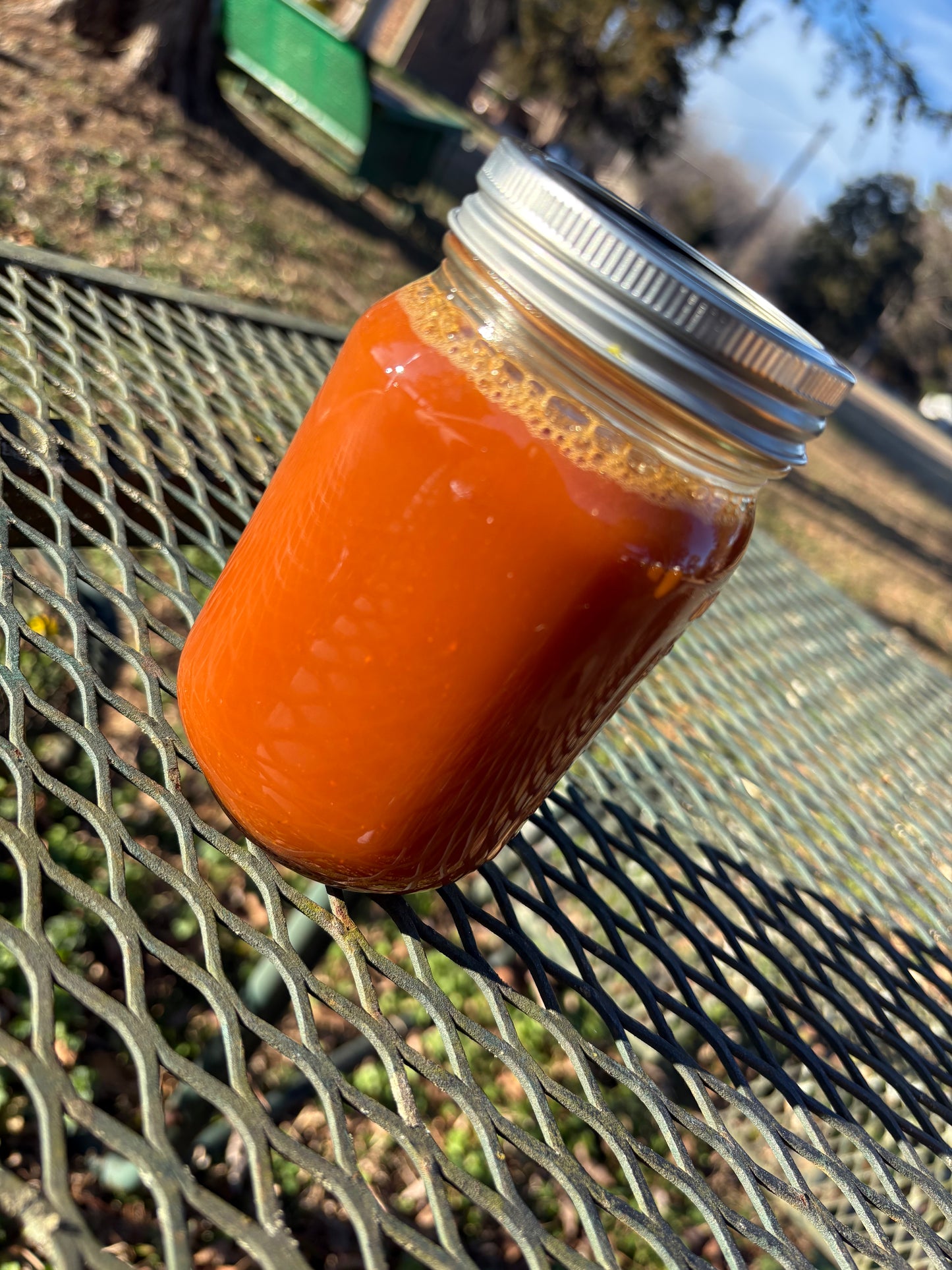 WELLNESS SHOTS *Fireproof* (5pack)