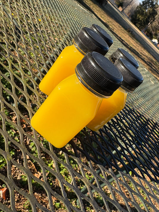 WELLNESS SHOTS *Citrus Kick* (5 pack)