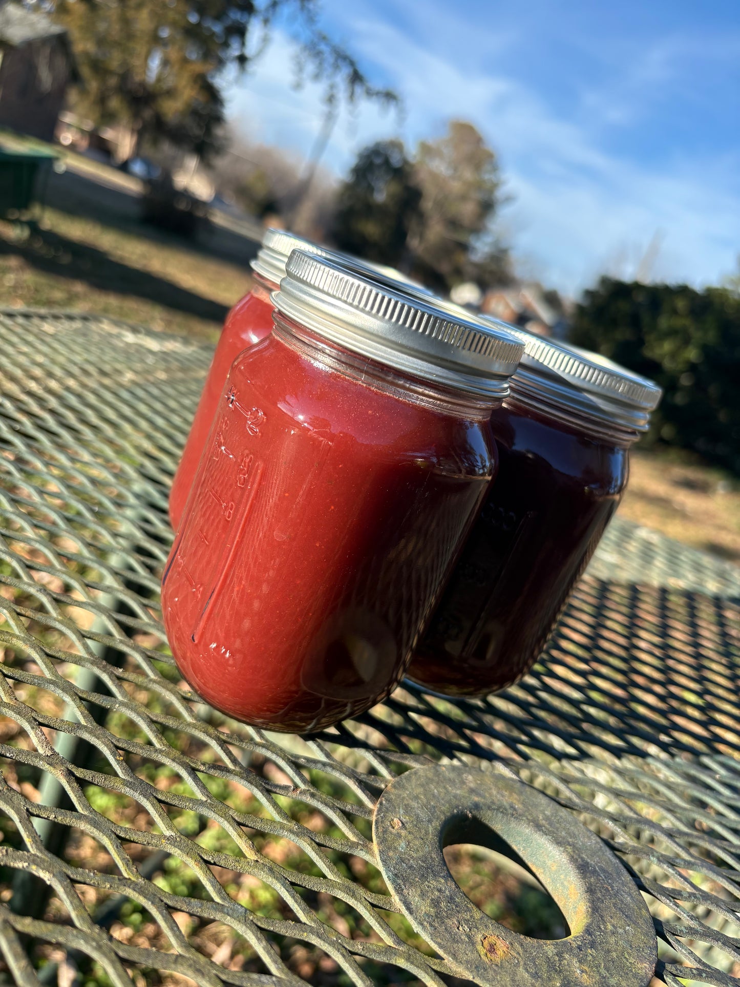 Full & Free Fuel (Juice) (3pack)