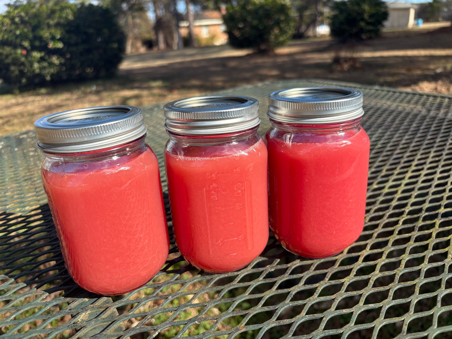 Snatched Citrus (Juice) (3 pack)